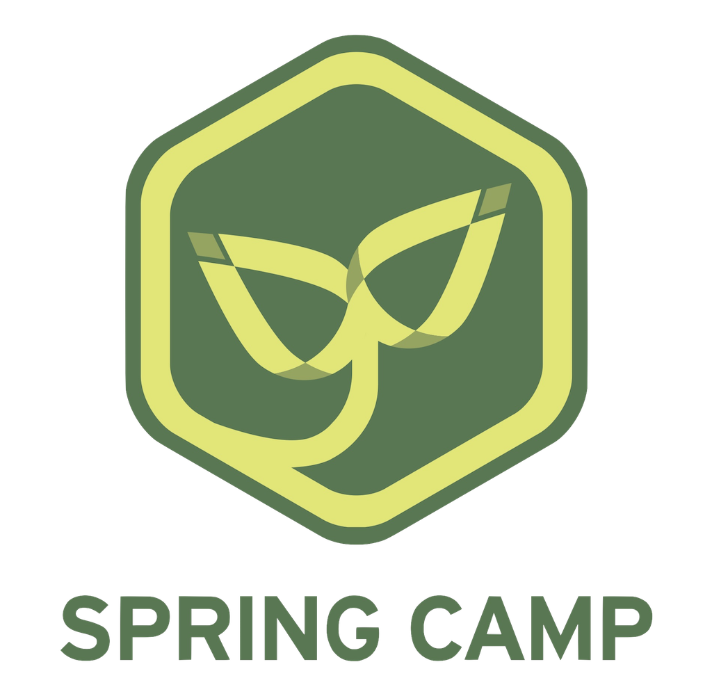 Spring Camp Logo